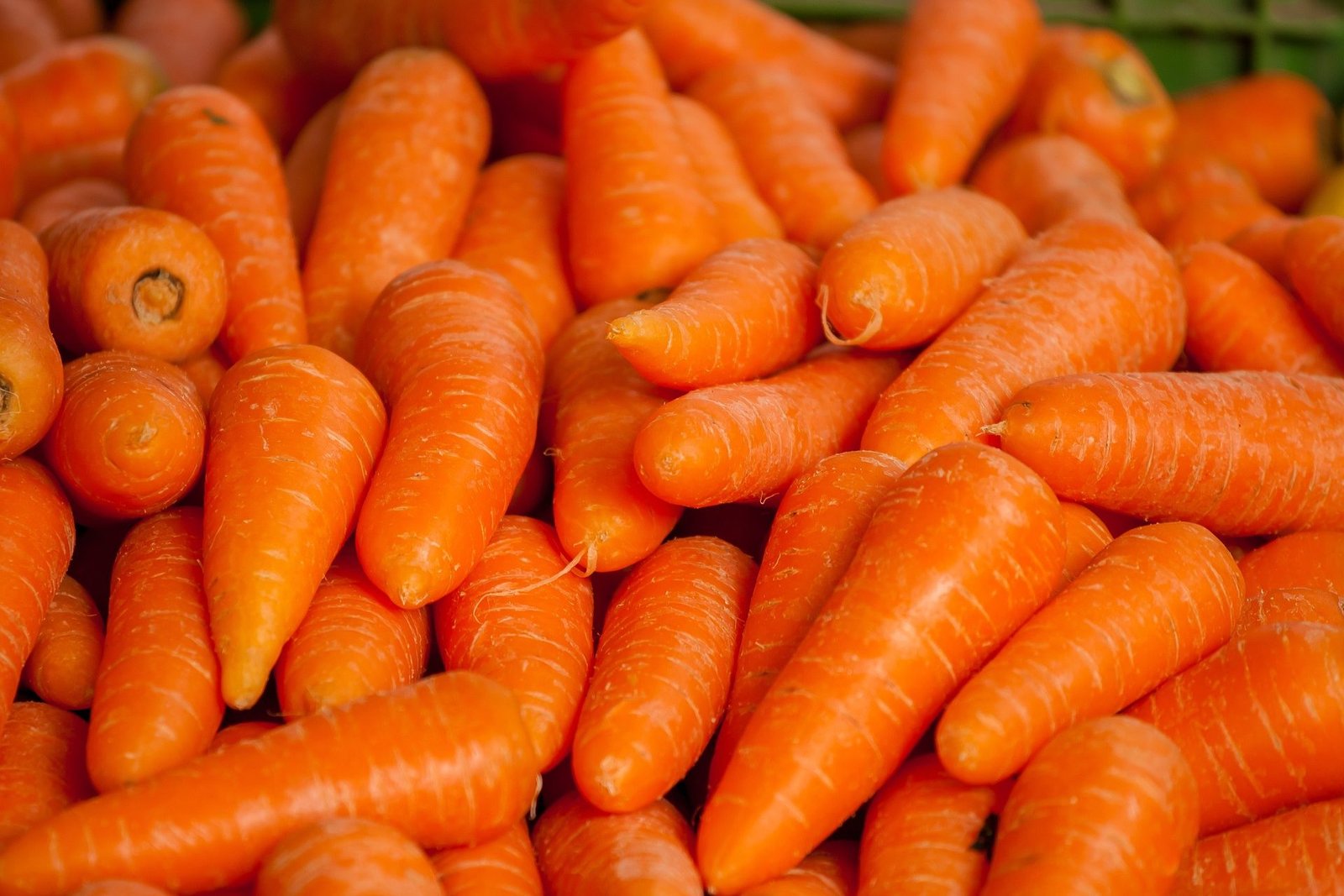 carrots-1508847_1920