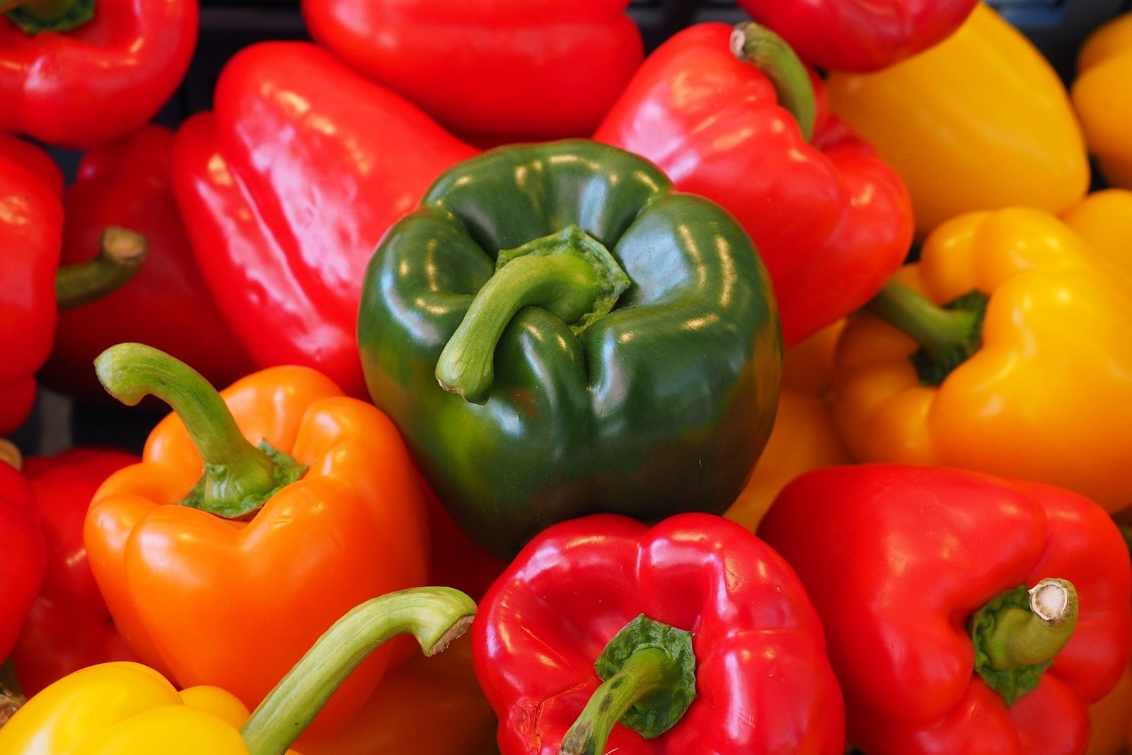 sweet-peppers-499075_1920